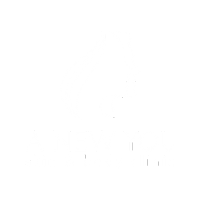 A New You Medical Spa Logo